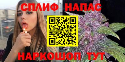 тгк Краснодар
